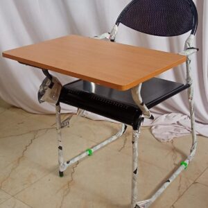 Study Chair and Pad